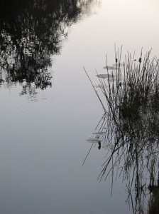 IMG_5350