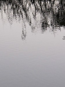 IMG_5355